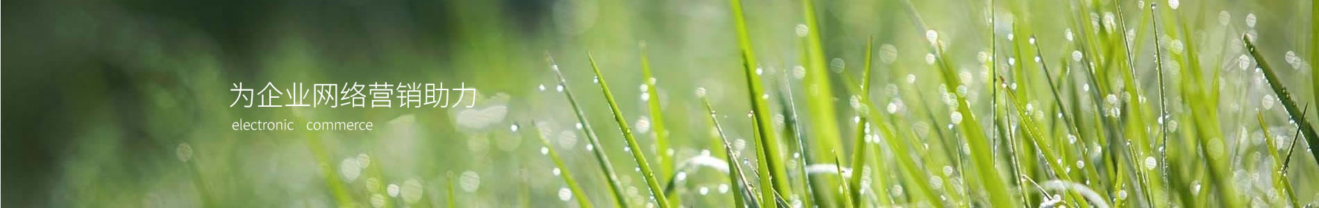 ްʻ޹˾